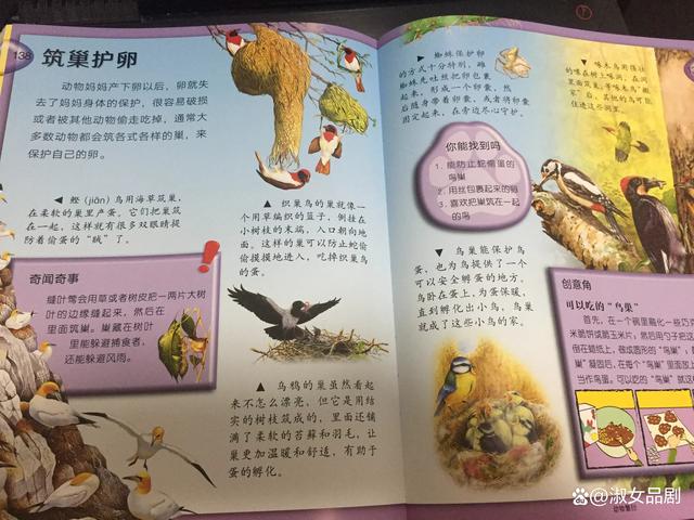 动物世界 赵忠祥解说台词