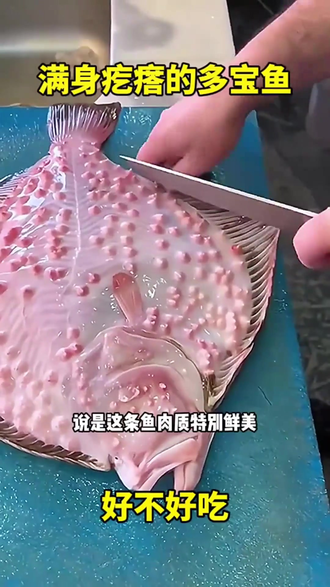 多宝鱼需要撕皮吗