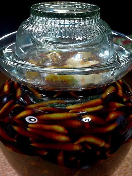 野山椒是哪里的特产