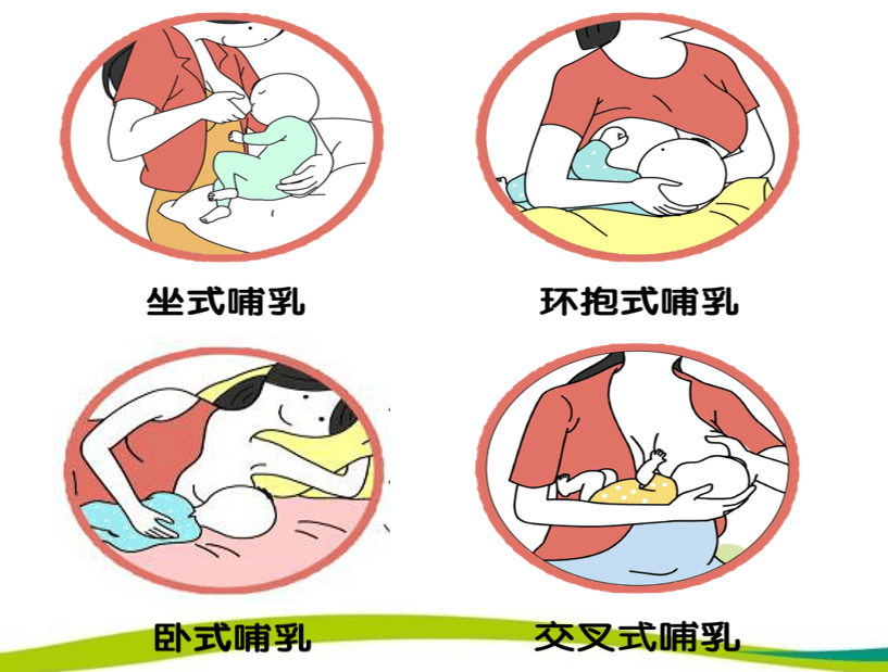 哺乳两字的发音