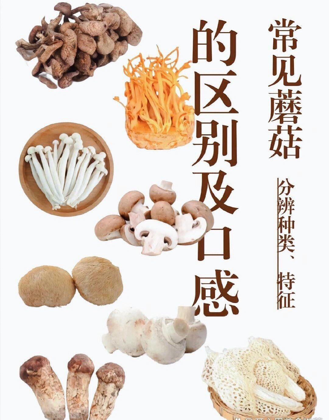 蟹味菇苦了是不是坏了?