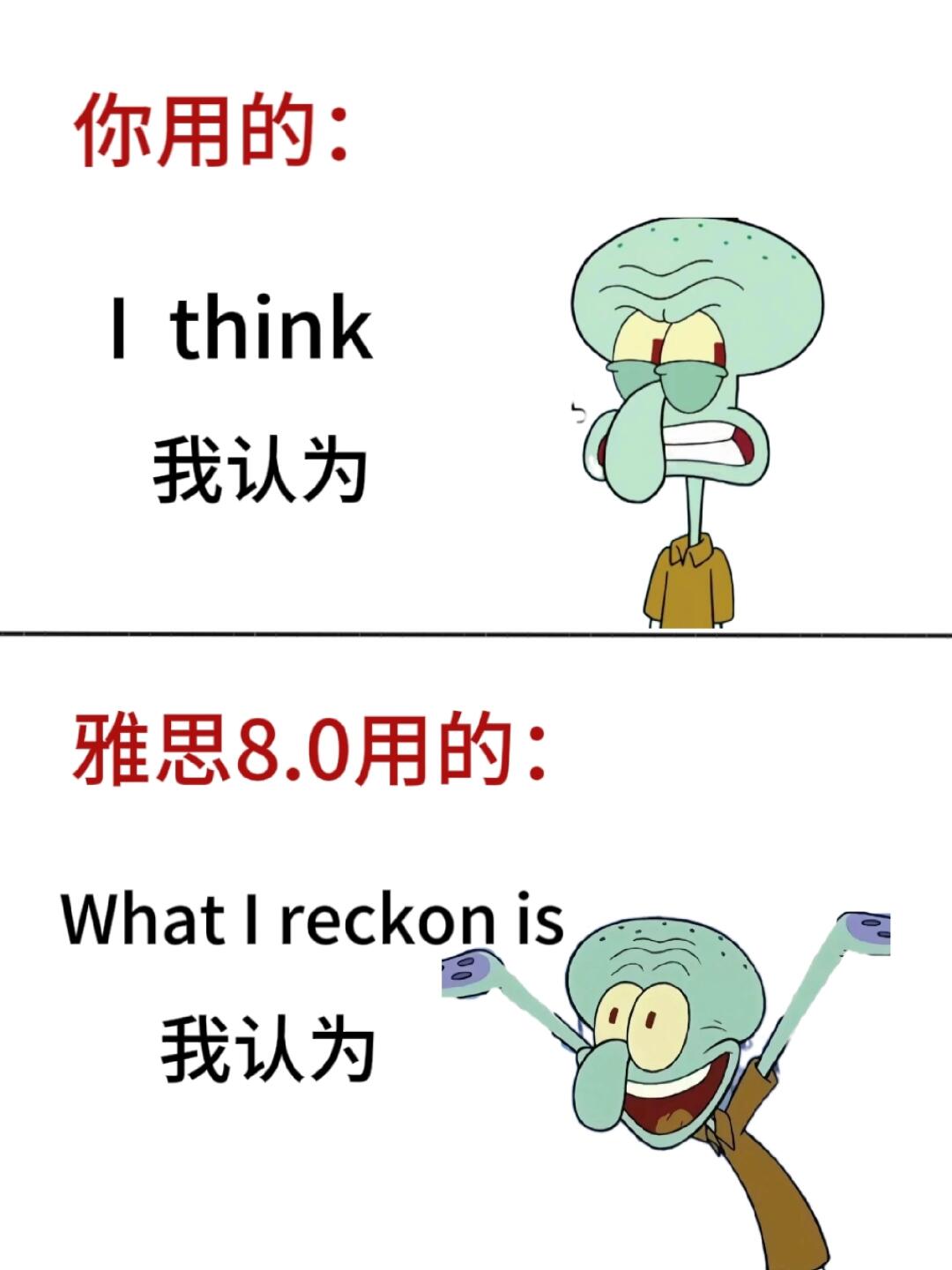 耐思是哪个国家的品牌