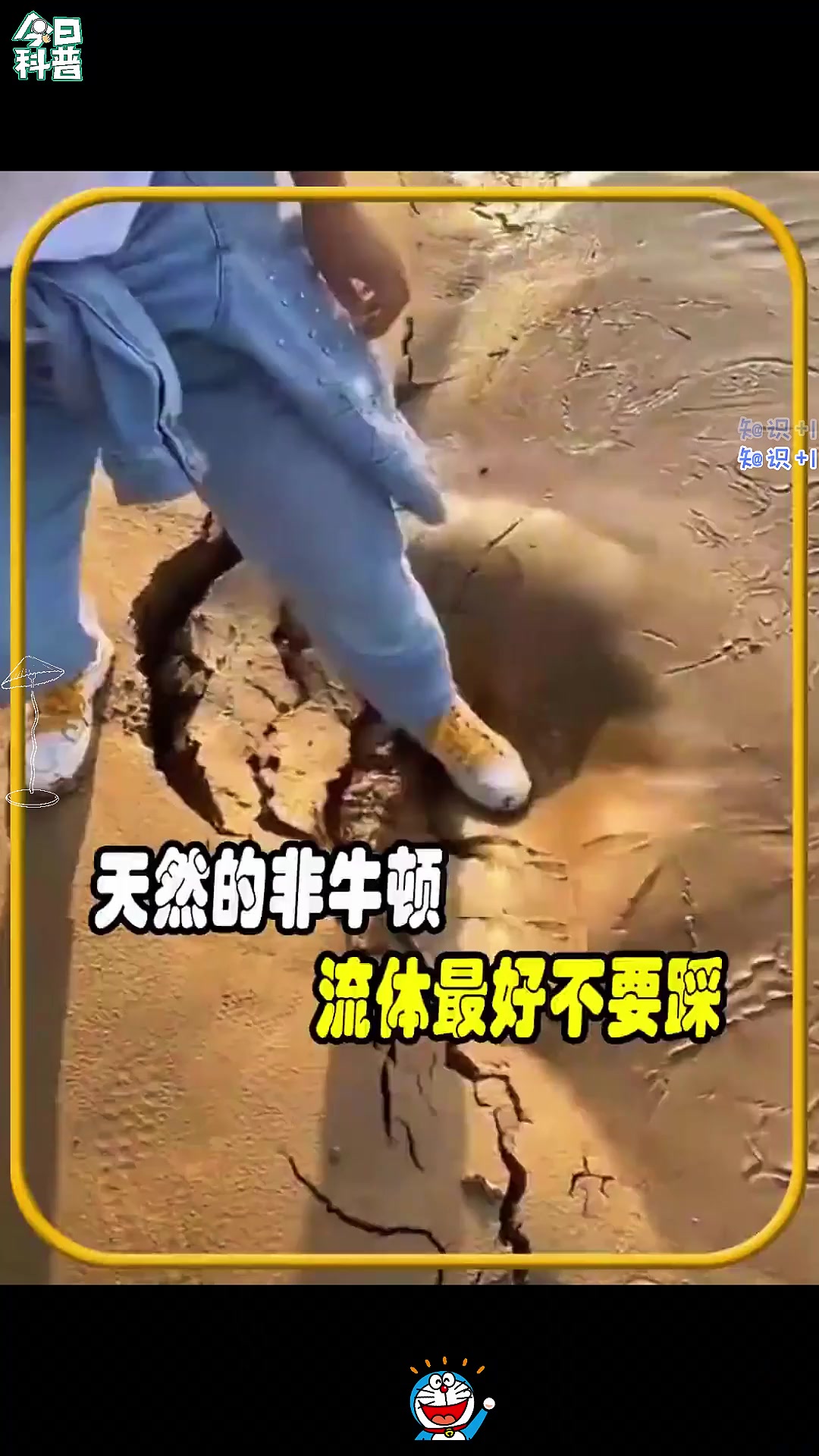 非牛顿流体是干什么用的