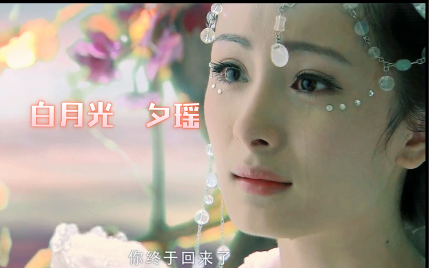 夕瑶是什么