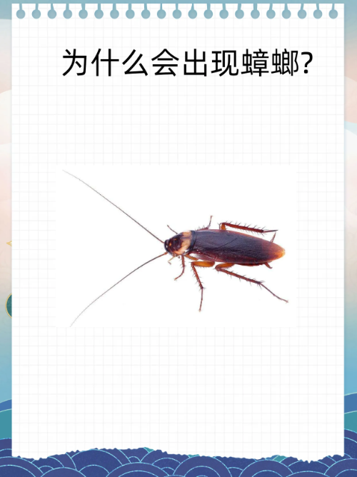 蟑螂出现的原因有哪些