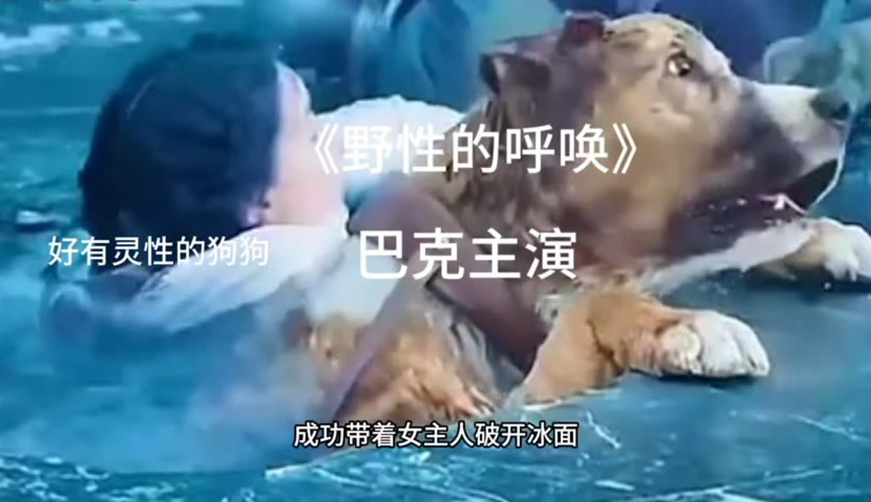 野性的呼唤原版电影