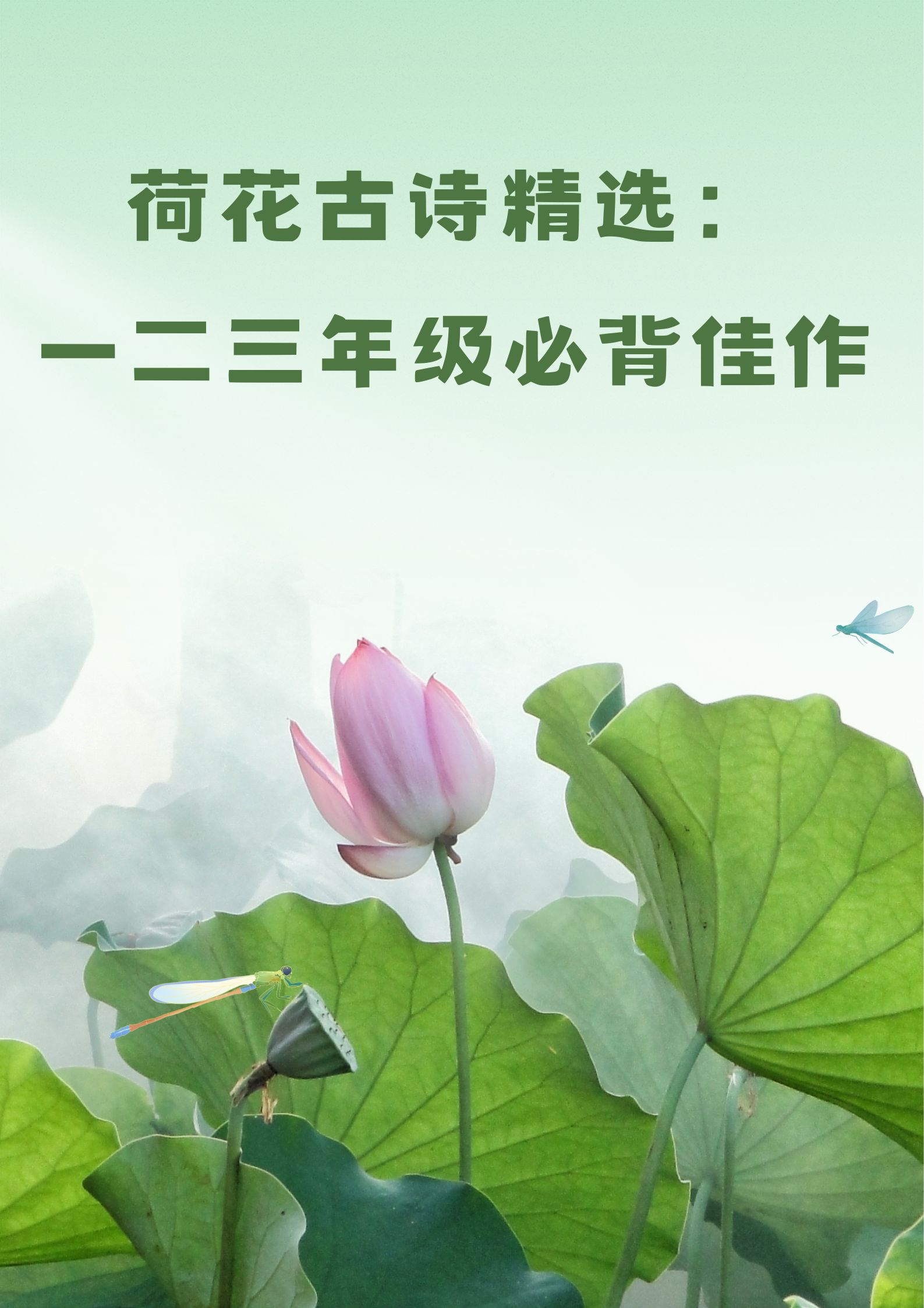 映日荷花的古诗