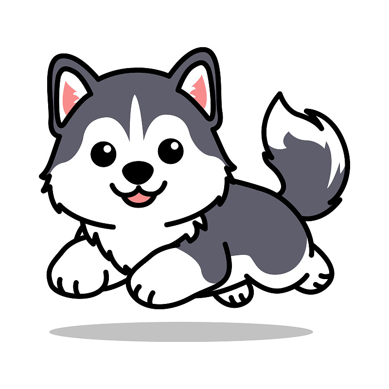 哈士奇跑步训练方法有哪些