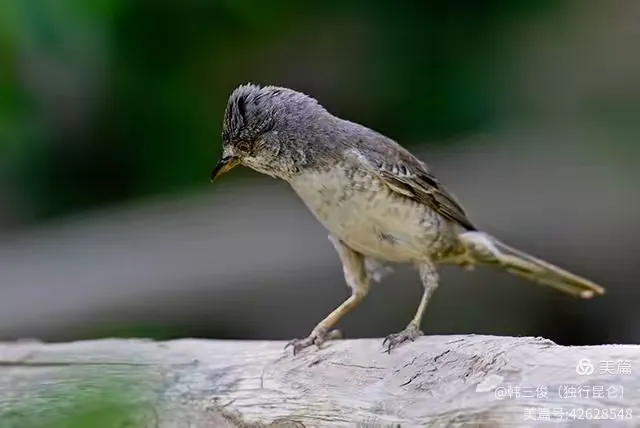 余音绕梁什么意思解释一下