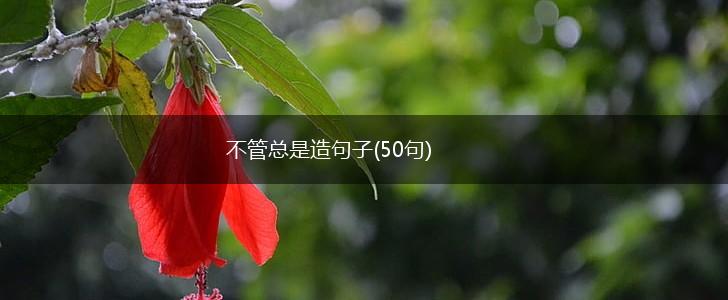 不管总是造句简单一点