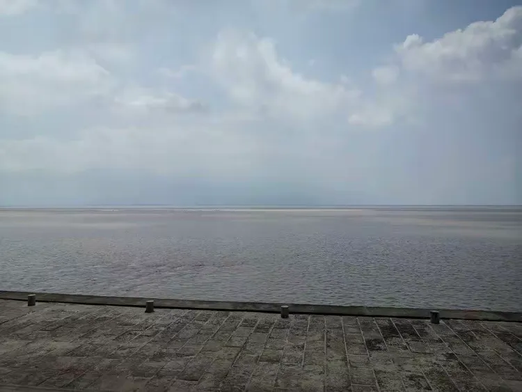 昂首东望怎么解释