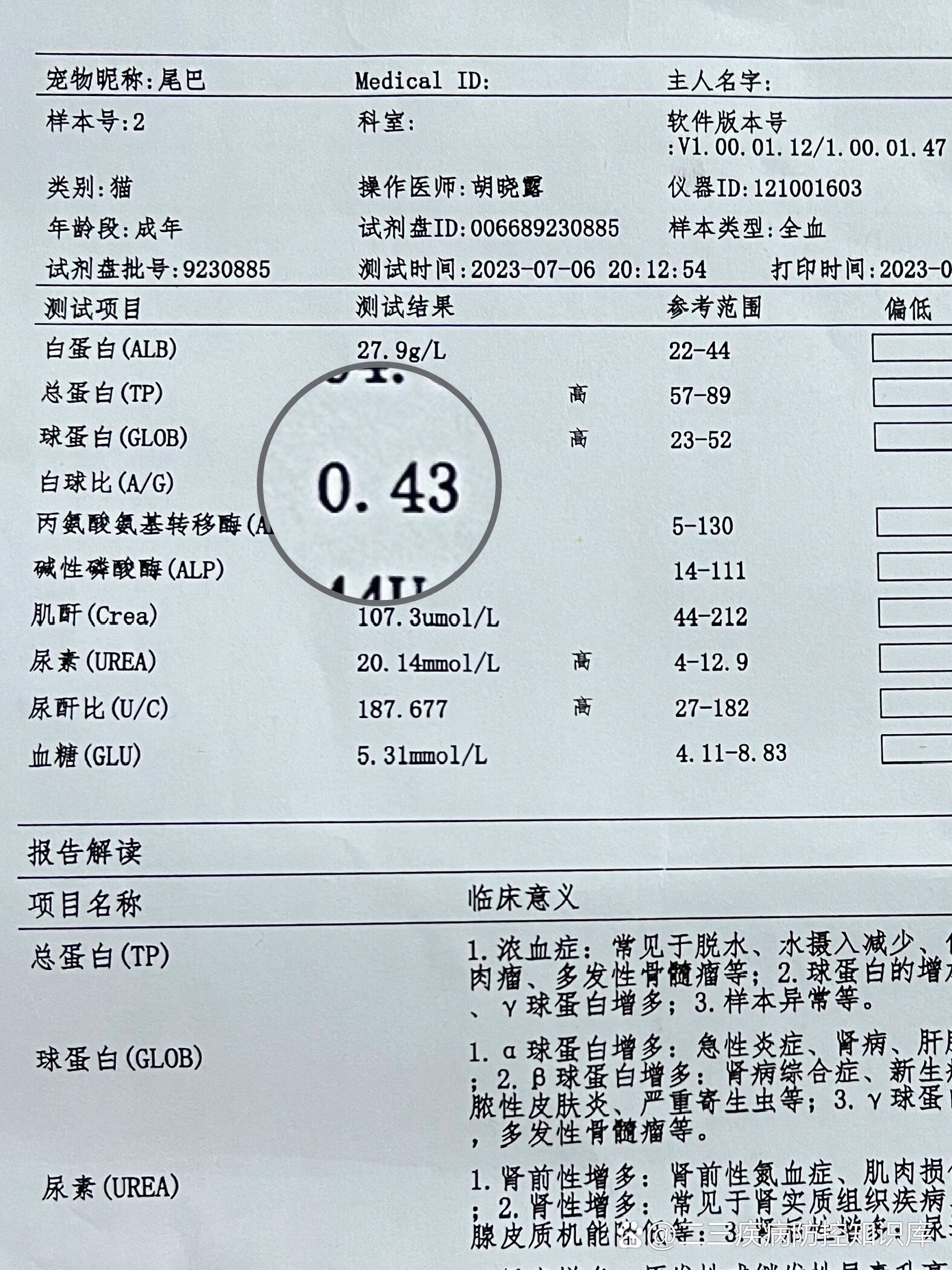 单纯白球比偏低的原因