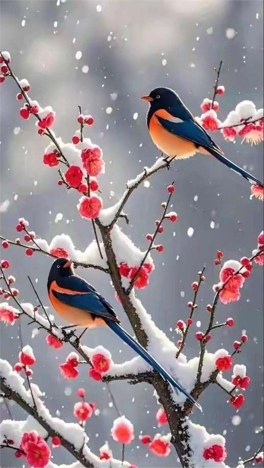 2025年10月31日 第43页