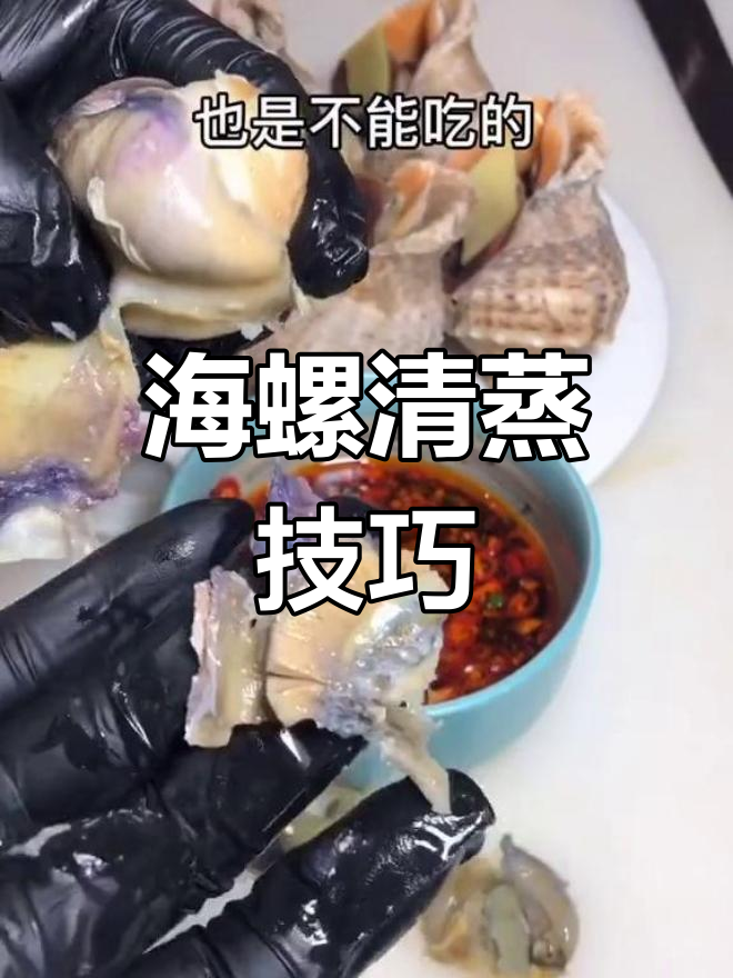 海螺需要煮多长时间能吃