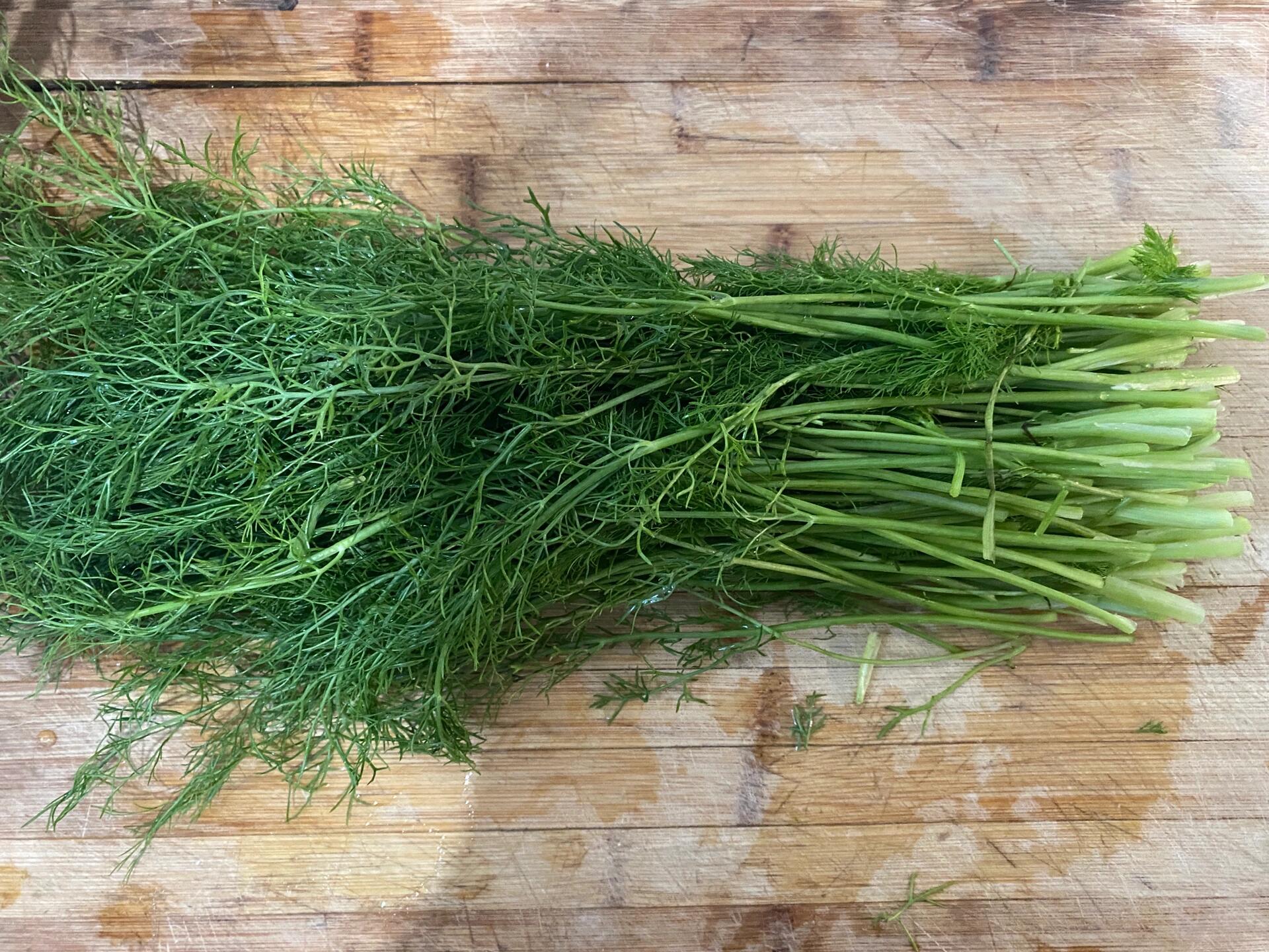 茴香肉饺子如何拌馅好吃