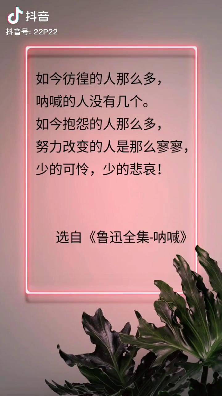鲁迅骂人的名句100句