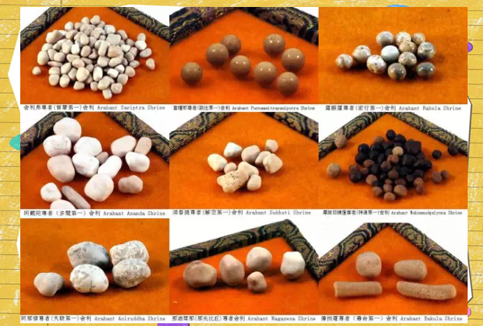 舍利子是什么构成的