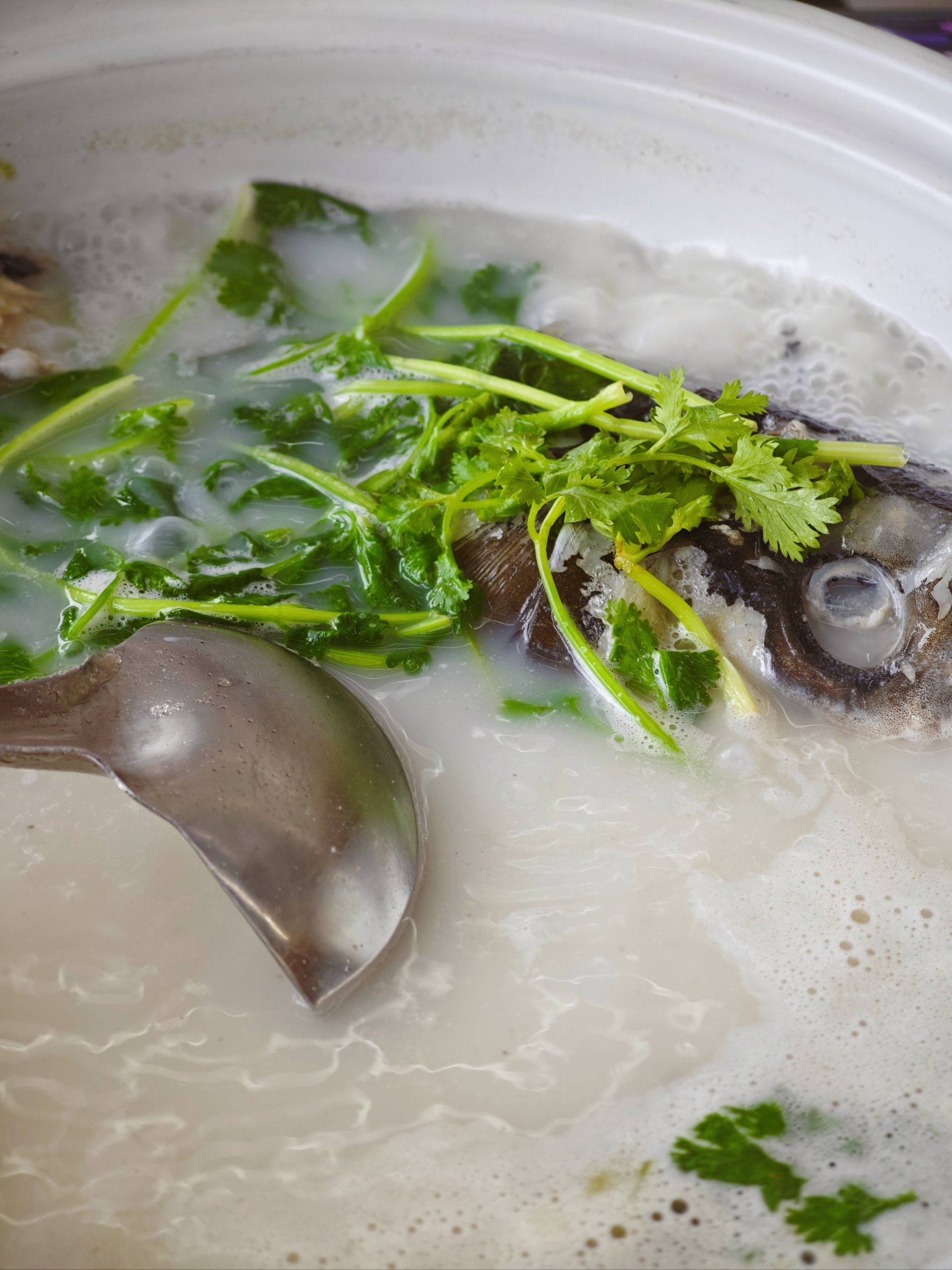 最适合孕妇的鱼汤做法鲫鱼