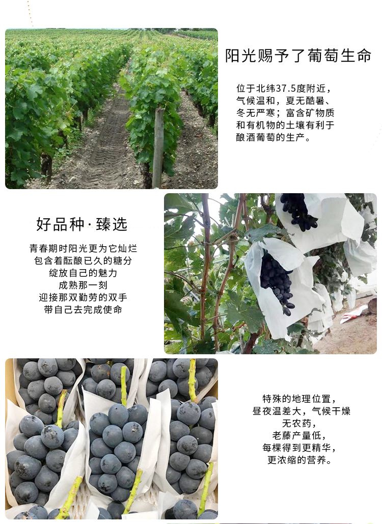 自酿的葡萄酒好几年了还有什么用途