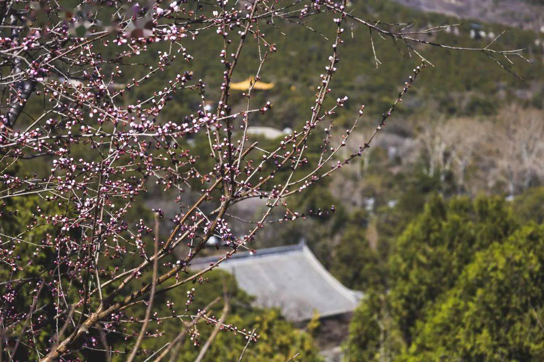 欣欣向荣的意思的意思