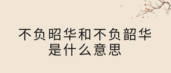 不问年华意思