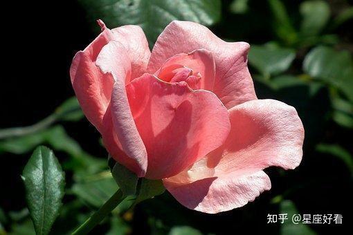 魂牵梦萦的下一句是什么意思