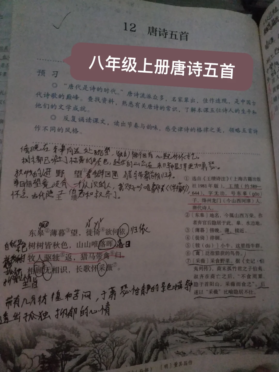 东皋薄暮望怎么读音是什么