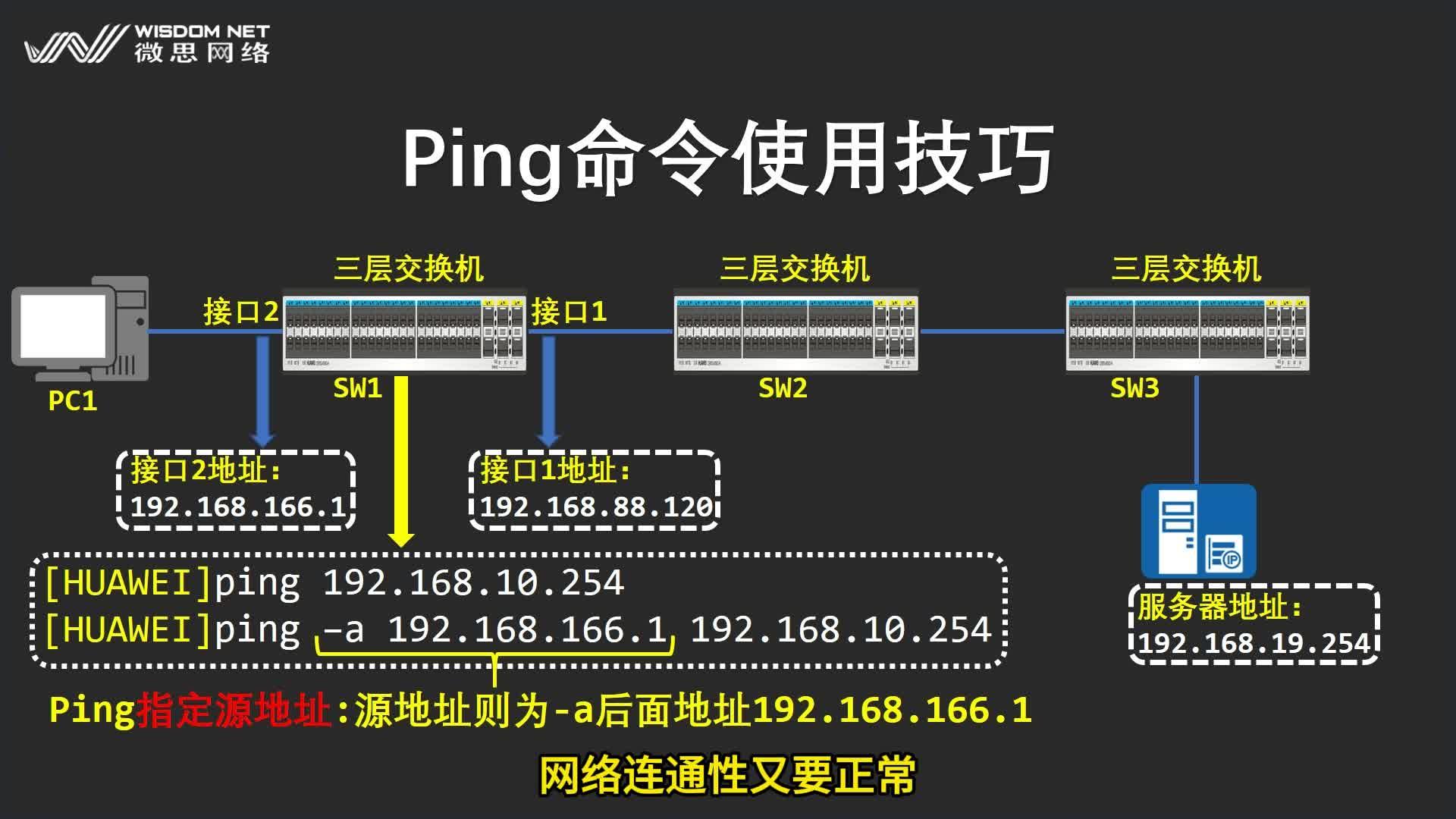 ping命令的使用和含义是什么