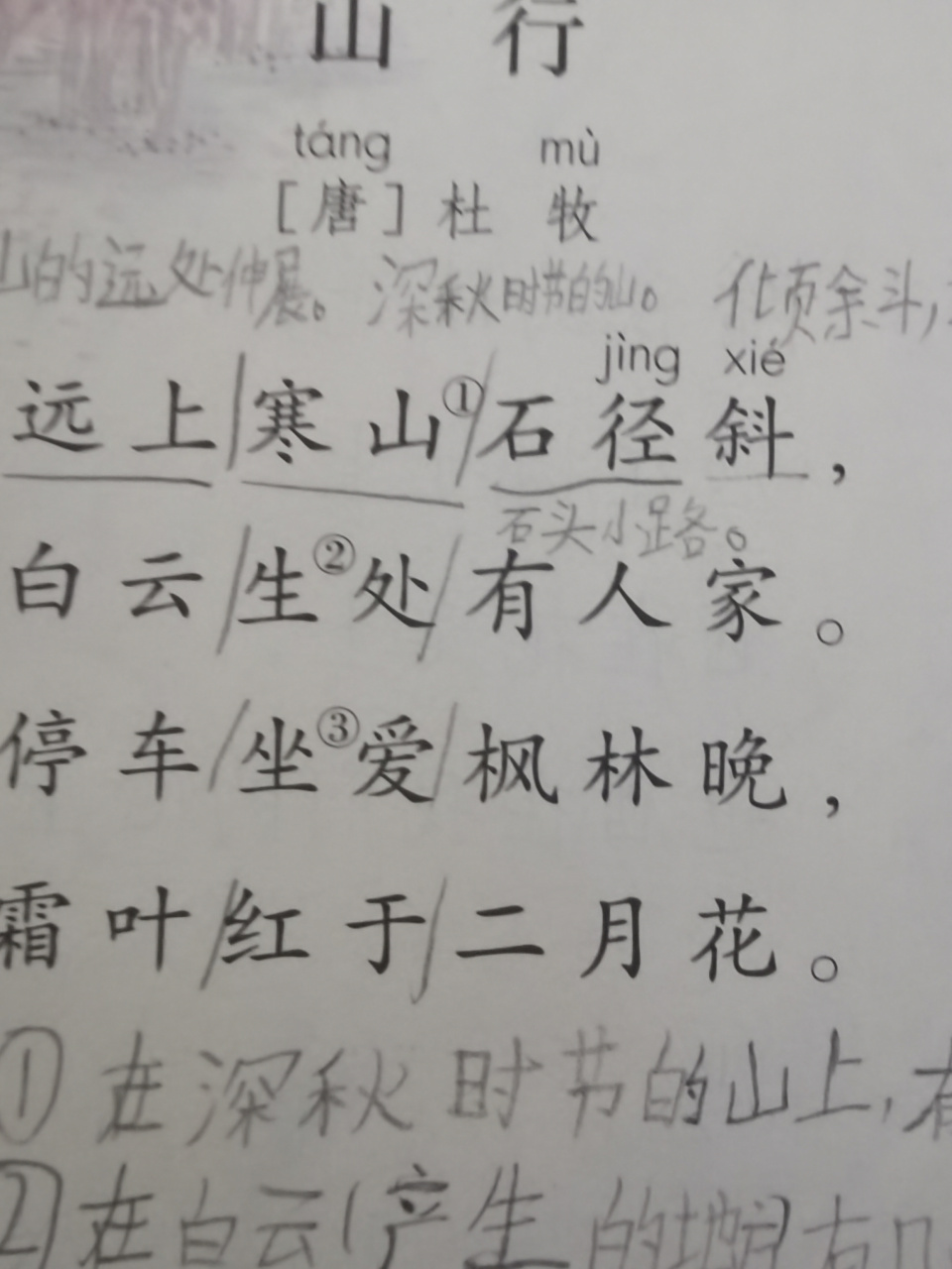 畜禽怎么读音读