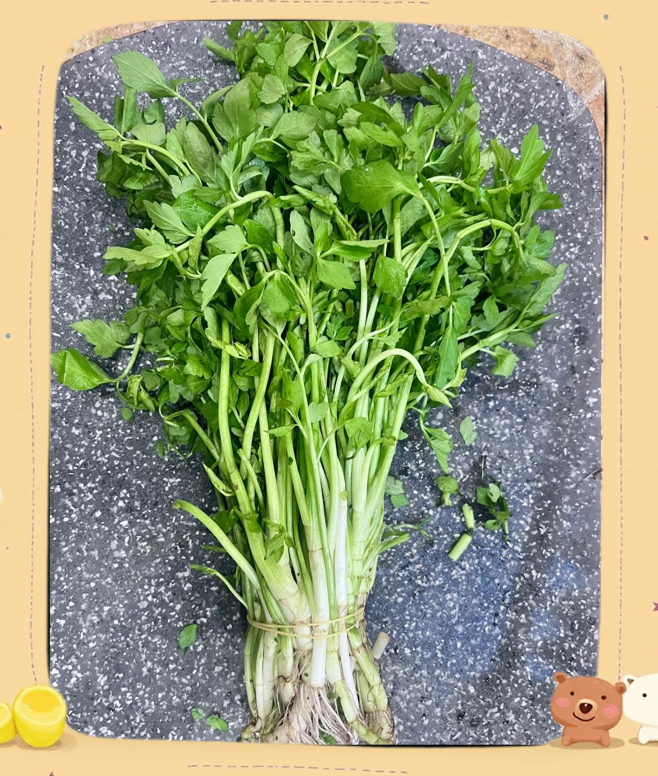 水芹的种植方法介绍怎么写