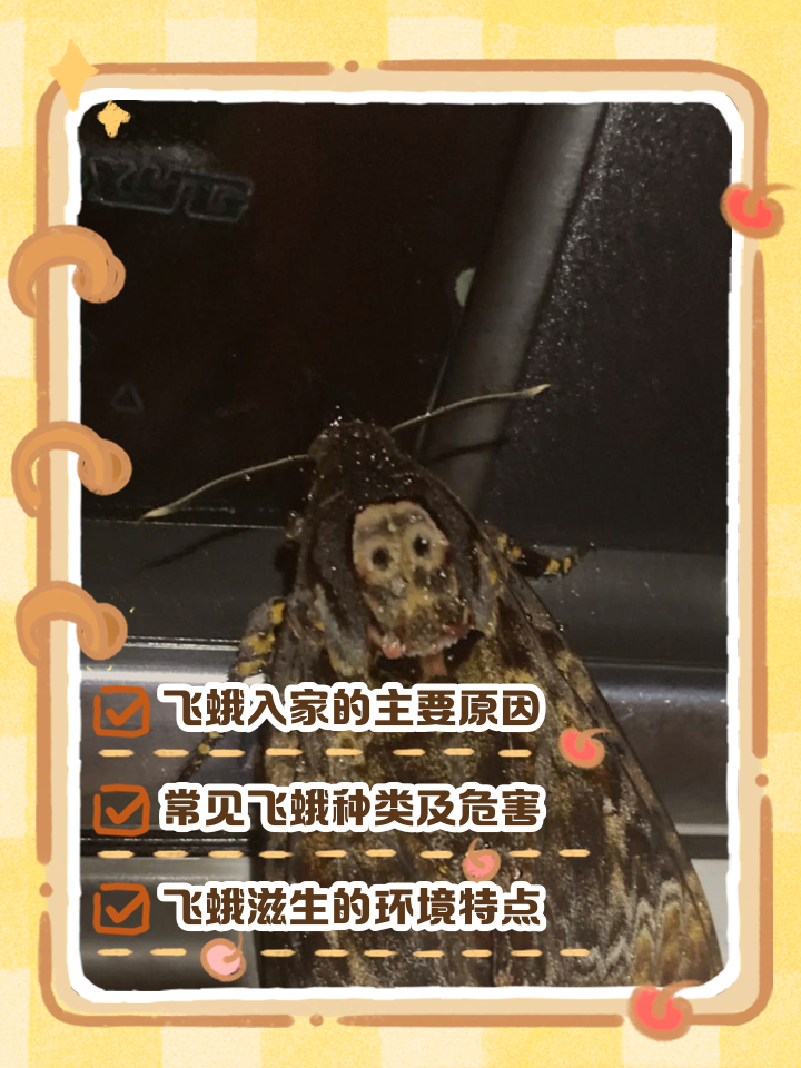 家里面有很多飞蛾