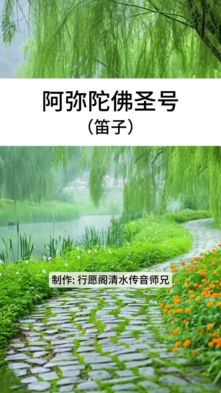 好听的佛名法号男