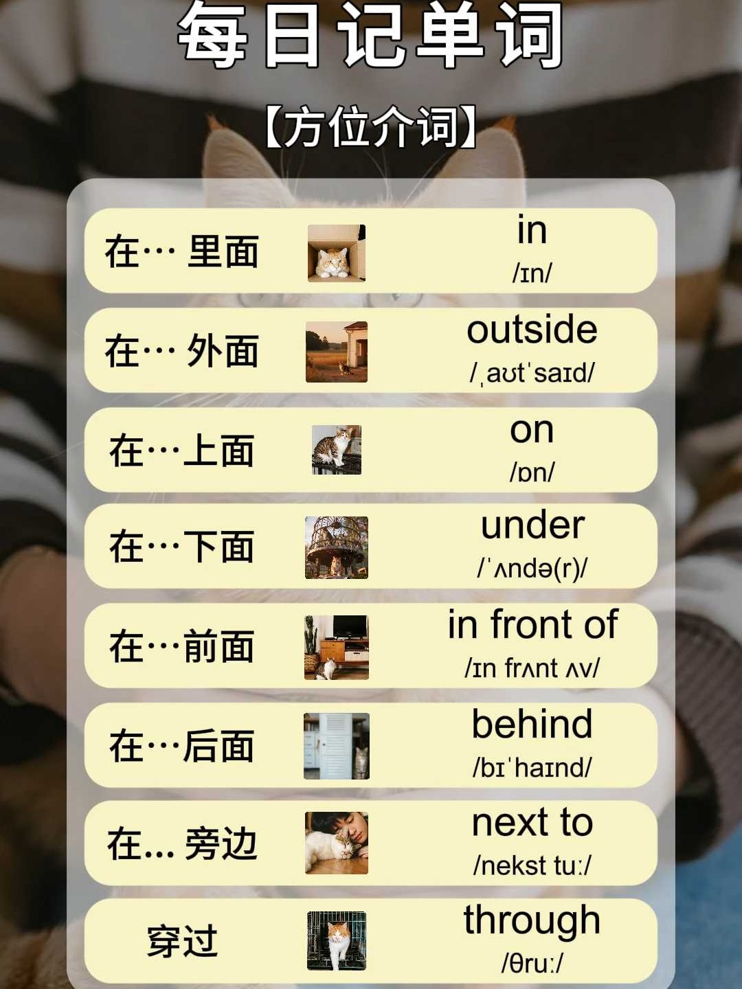 内容用英语怎么拼