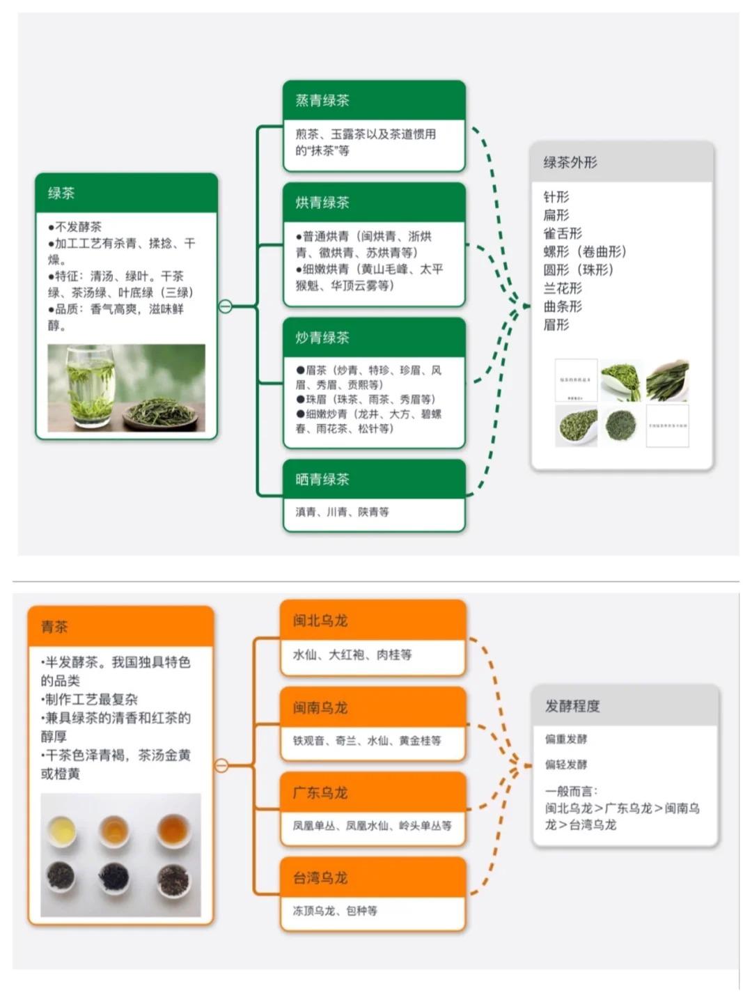 菊花茶的种类有哪些