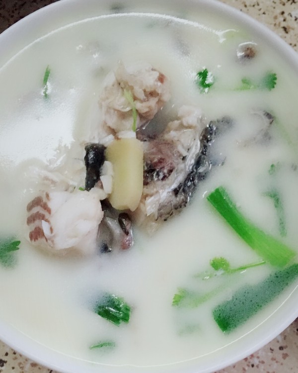 草鱼做汤的做法大全窍门