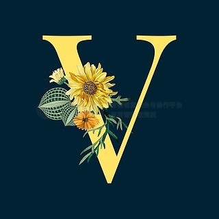 轮胎上100v代表什么意思