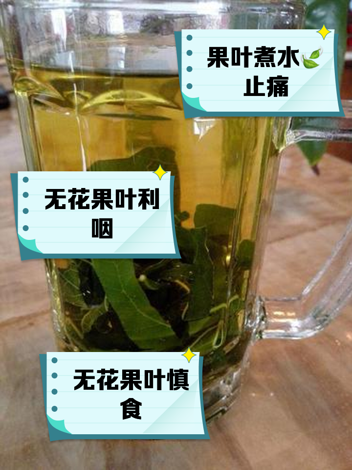 吃无花果吗