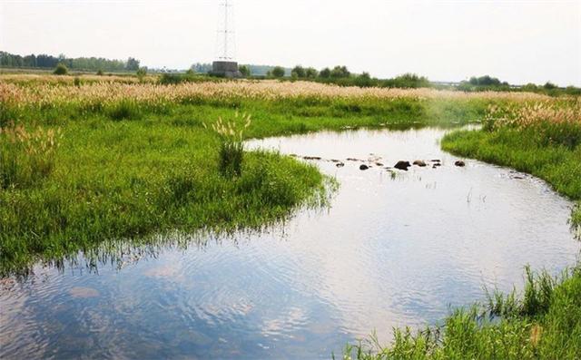 小河像什么写句子二年级