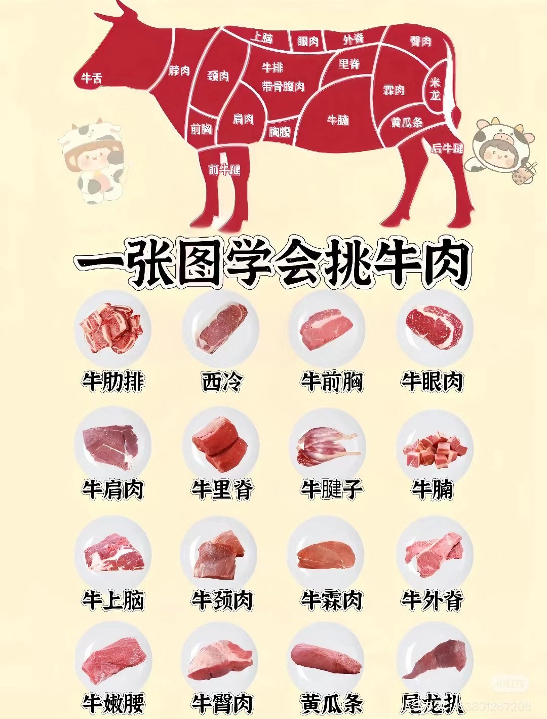 养牛的利润与成本前景