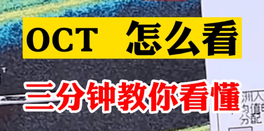 bid是什么意思啊网络用语