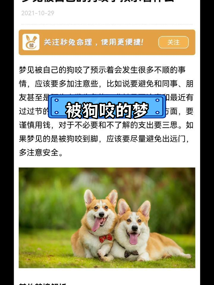 孕妇梦见狗追赶自己怎么回事