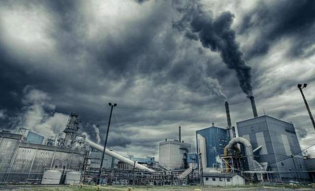 空气污染是什么生肖