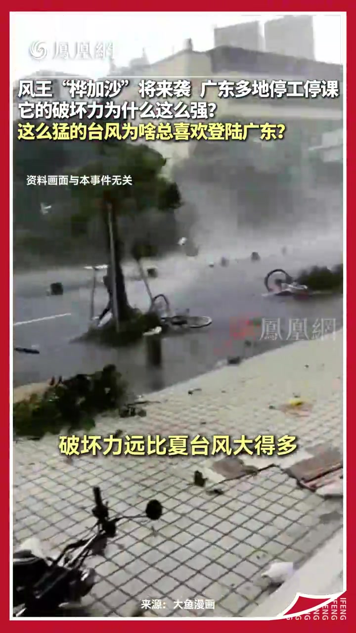 九级风是什么样子