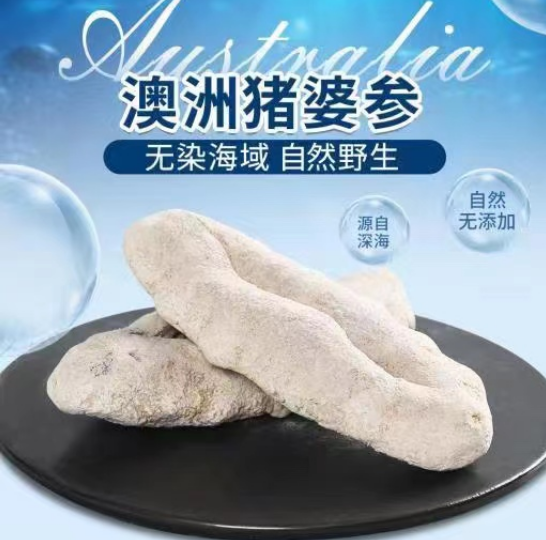 猪婆参要煮多久