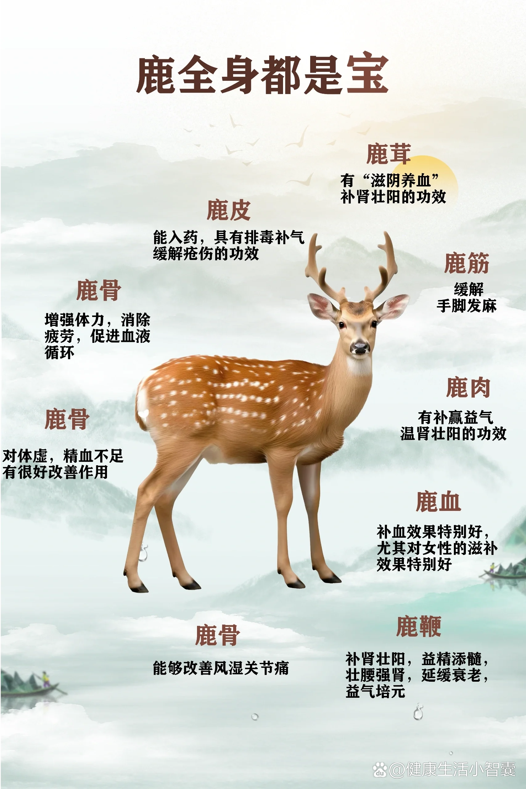 鹿里一个几念什么字