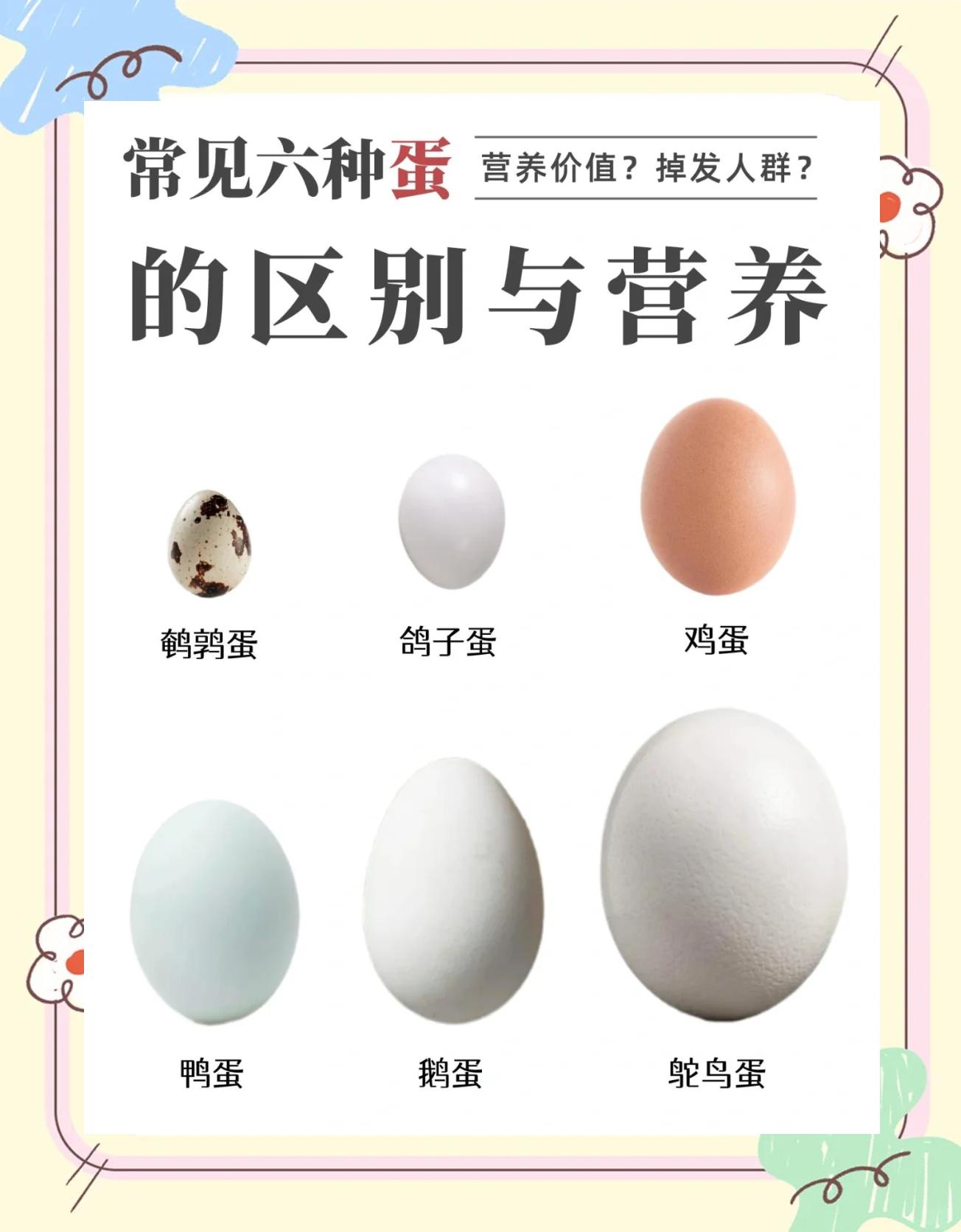 鸭蛋和鸡蛋哪个营养价值高一些