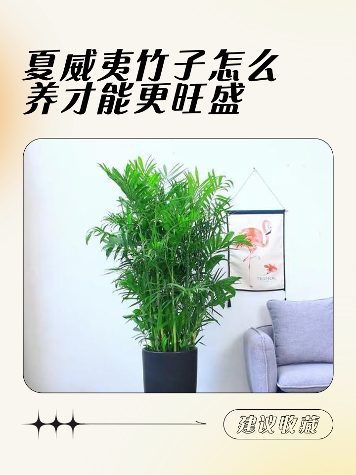 夏威夷竹放客厅的位置图