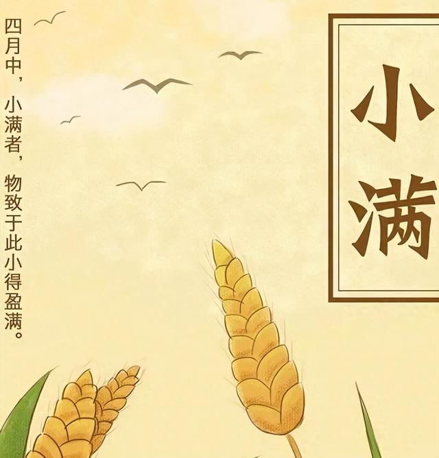 小满是几月几日到几月几日