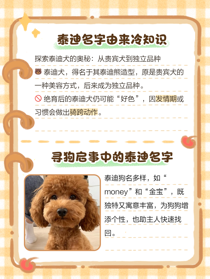 好听的狗狗名字男