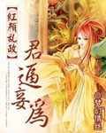 红颜乱小说怎么样